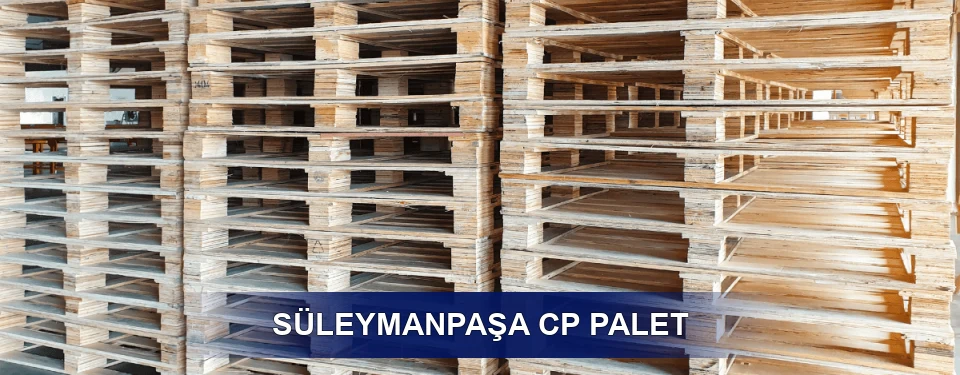 Süleymanpaşa Standart Tipler
