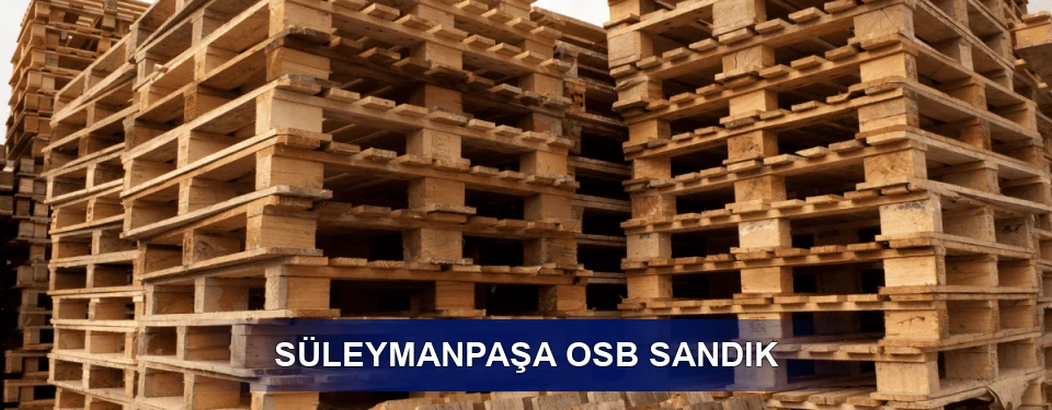 Süleymanpaşa Ölçü Planı